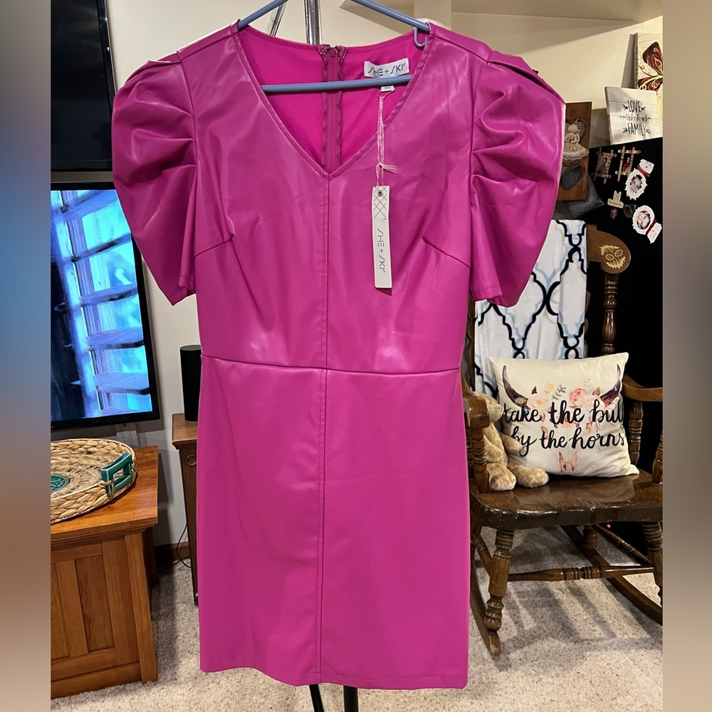 NWT She + Sky faux leather Pink Dress